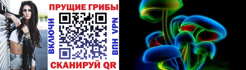 закладка Фокино Псилоцибиновые грибы прущие грибы